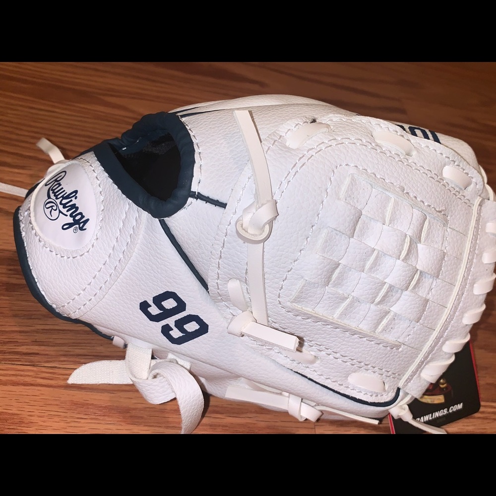 Aaron Judge #99 Rawlings youth baseball glove.